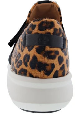 Casual><noscript><img width=