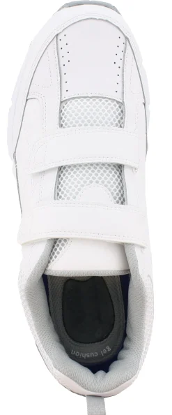 Walking><noscript><img width=