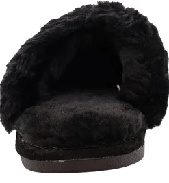 Slippers><noscript><img width=